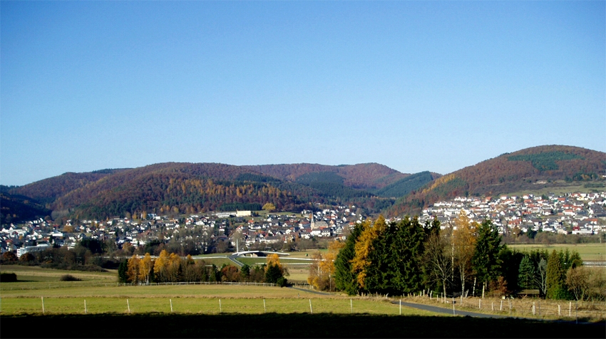 Verkehrs- und Gewerbeverein Wallau